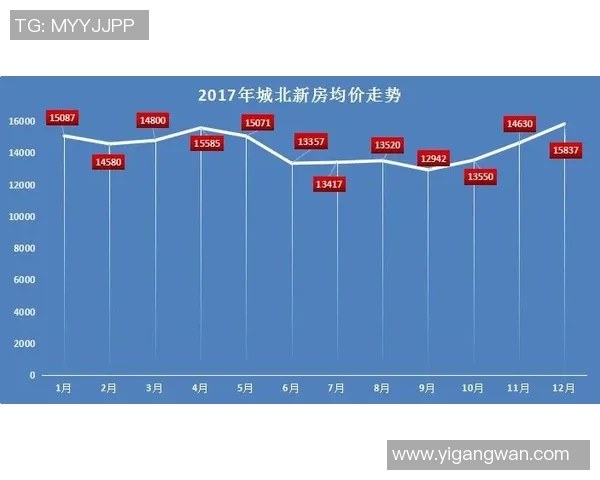 独家解析成都网球队技术特点与其他城市球队的比较分析