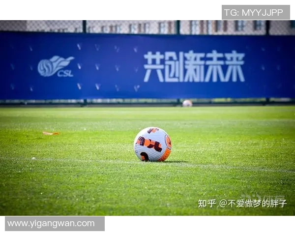 龙翔足球：携手共进打造中国足球新未来的梦想之旅