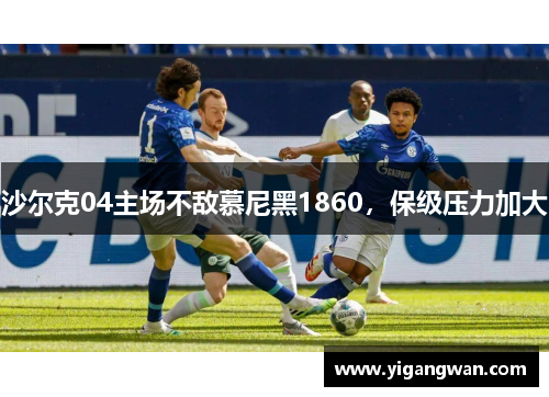 沙尔克04主场不敌慕尼黑1860，保级压力加大